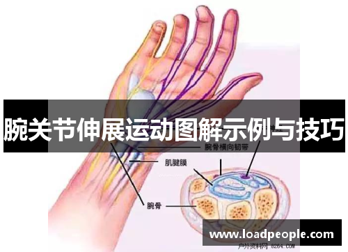 腕关节伸展运动图解示例与技巧