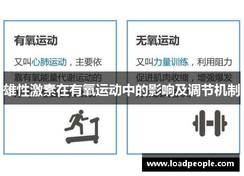 雄性激素在有氧运动中的影响及调节机制